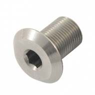 Schlumpf spare axel bolt